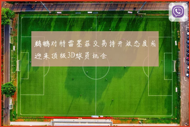 鹈鹕对特雷墨菲交易持开放态度或迎来顶级3D球员机会